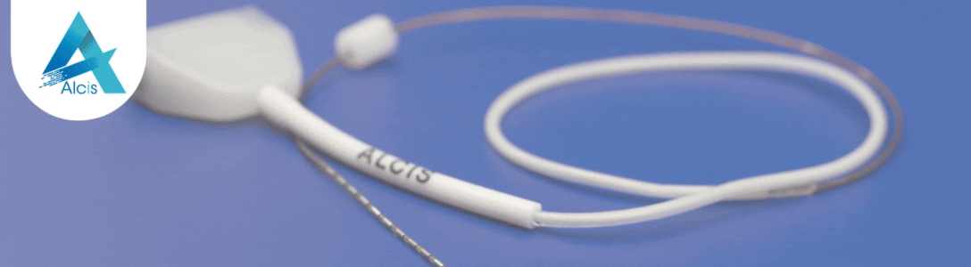 ALCIS