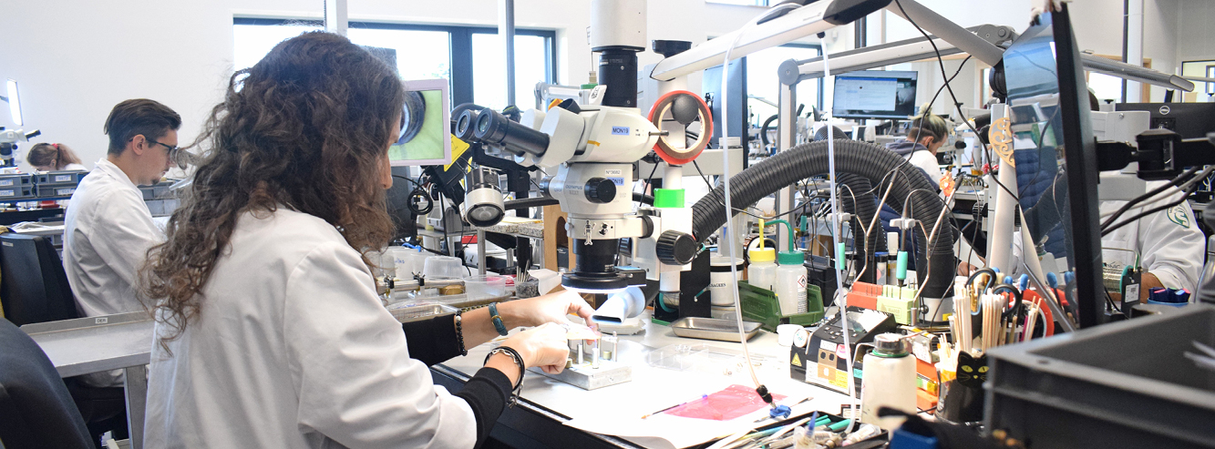 Imasonic : de nouvelles ambitions dans les moyens de contrôle non destructifs